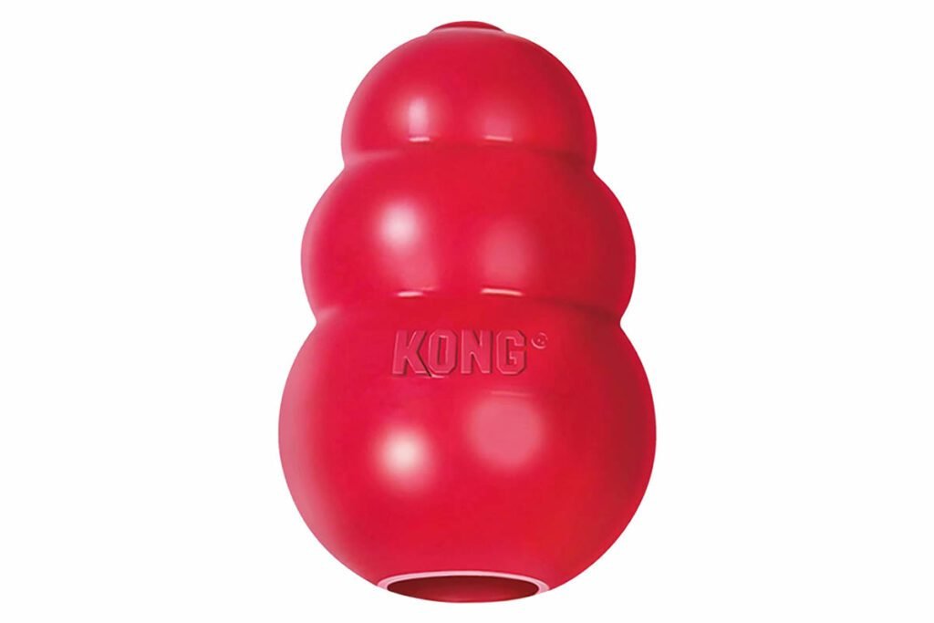 Classic Kong Toy for Dogs