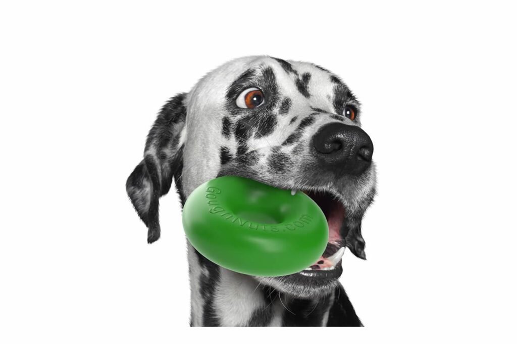 Goughnuts Guaranteed Indestructible Dog Toy featured