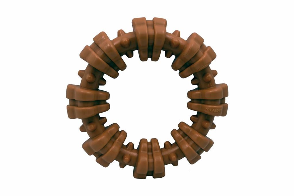 Nylabone DuraChew Ring for aggressive chewing dogs featured