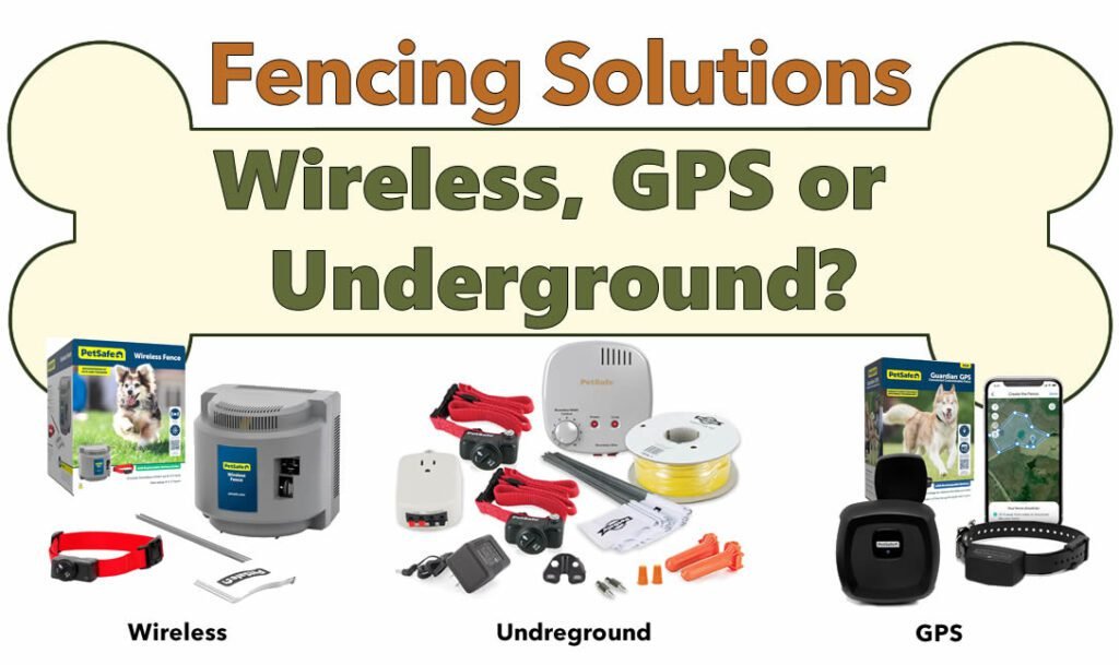 Comparing Three Top Fencing Solutions: Is a Wireless Dog Fence Right for You?