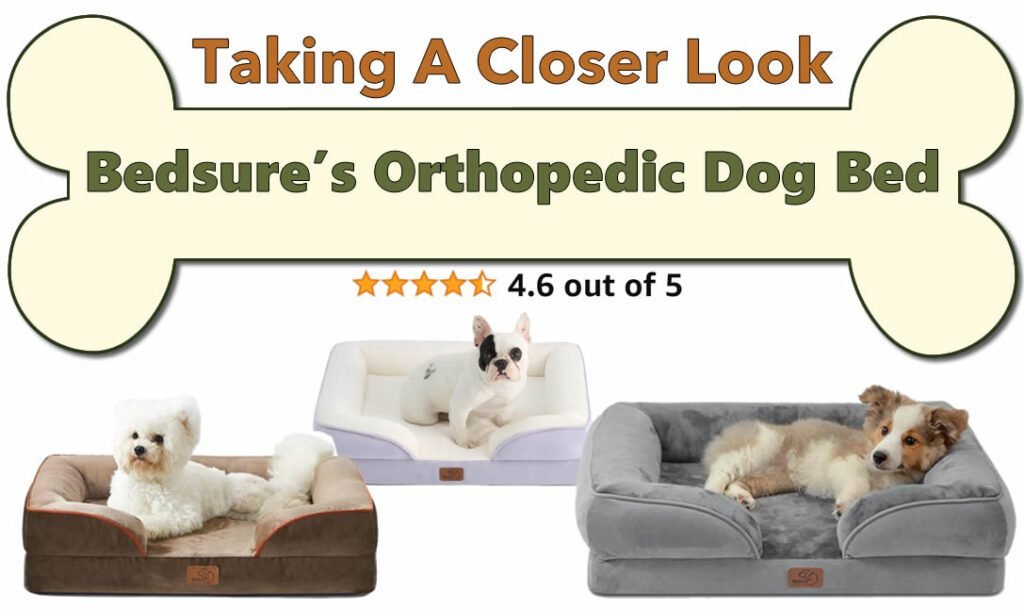 A Pet Bed Designed with Comfort in Mind: Reviewing Bedsure’s Orthopedic Dog Bed