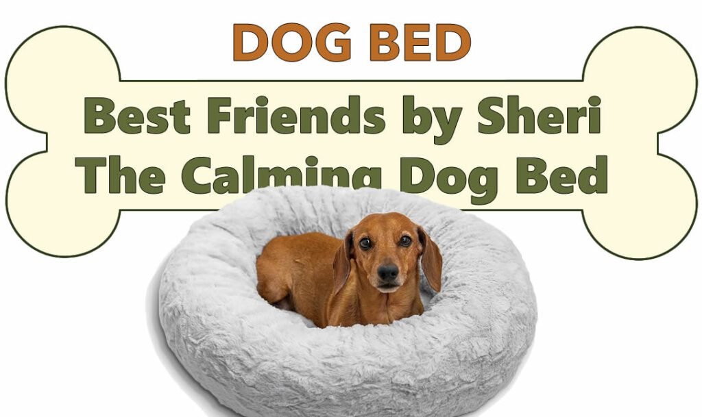 Why Best Friends by Sheri Makes the Perfect Calming Dog Bed