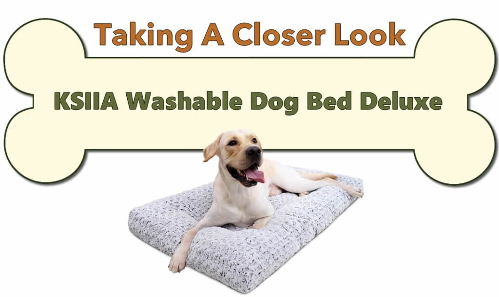 Taking a Closer Look at the KSIIA Washable Dog Bed Deluxe