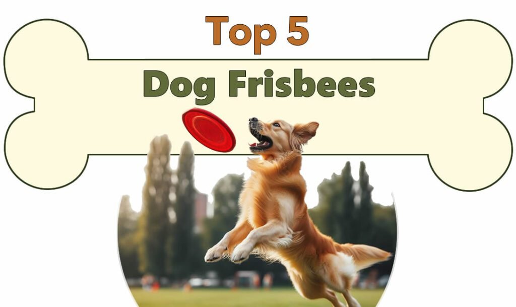 Fetch in Style: A Review of the Top 5 Dog Frisbees